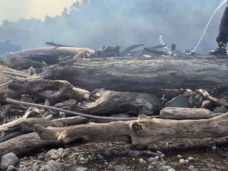 豐濱海岸「漂流木大面積燃燒」消防力抗海風搶救6小時