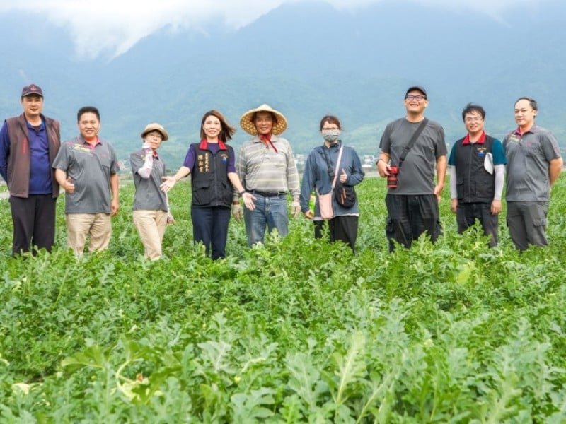 花蓮大西瓜五月起陸續上市