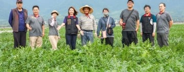 花蓮大西瓜五月起陸續上市