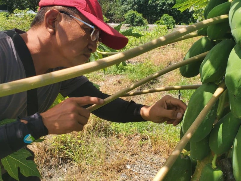 【職人精神．謙手花蓮】從熱血鐵衛到友善大地：張煜昉的跨界人生與有機堅持
