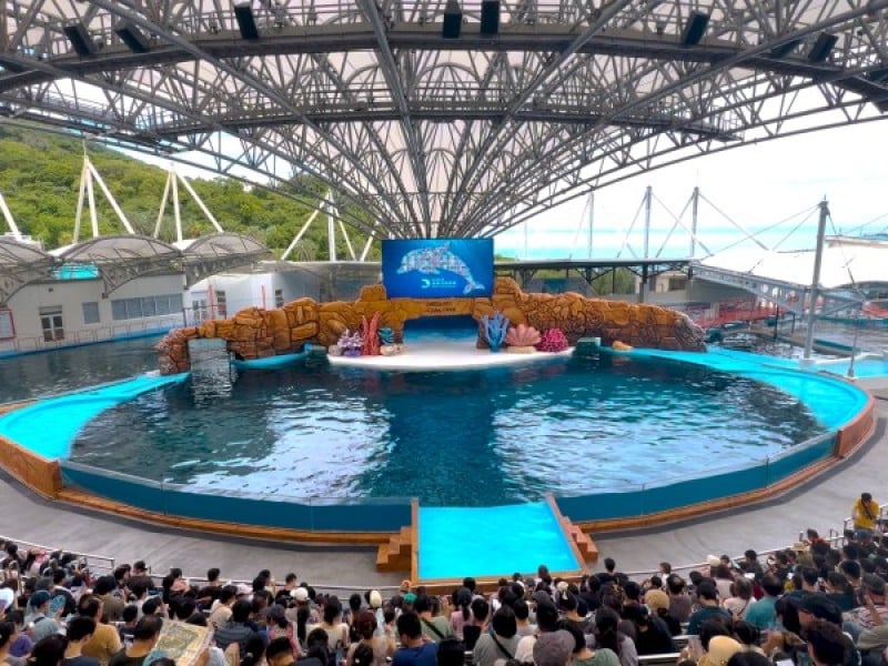 海洋公園「海豚守護基地」正式開幕
