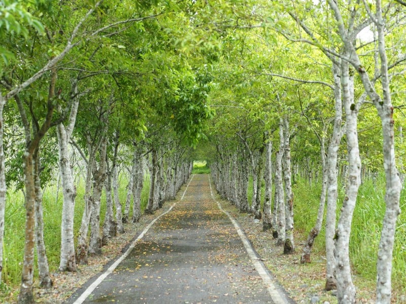 「永續遊花蓮」秋冬再加碼總獎金60萬元 邀旅行業者共拓國內外旅遊市場