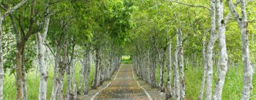 「永續遊花蓮」秋冬再加碼總獎金60萬元 邀旅行業者共拓國內外旅遊市場