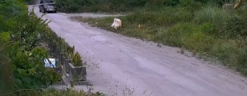 拒檢再撞警車！闖管制區撞柵欄 酒駕男遭羈押