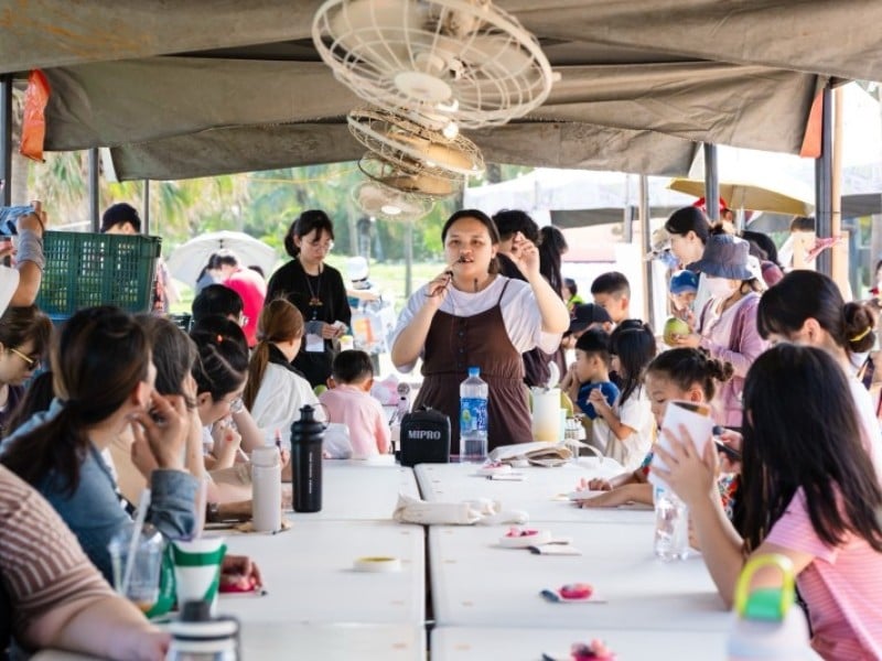 花蓮文旦柚秋日豐收熱鬧登場