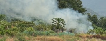 吉安上騰工商旁空地樹叢突竄火　民眾目擊冒煙起火原因待查