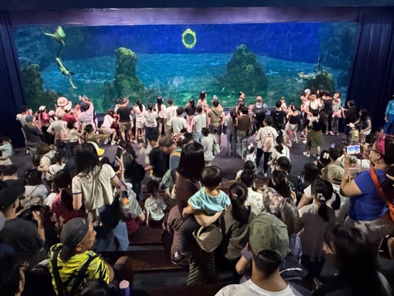 海洋公園美人魚嘉年華夢幻登場