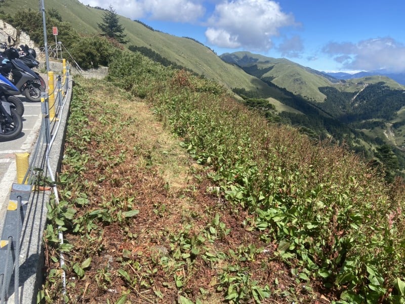 回應Threads網友心聲！ 百名熱血隊員合歡山垂降淨山，攜手守護高山家園