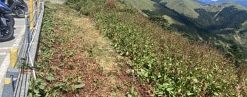 回應Threads網友心聲！ 百名熱血隊員合歡山垂降淨山，攜手守護高山家園