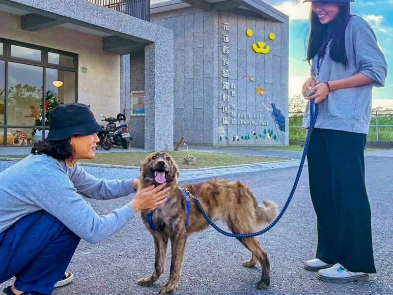 花蓮狗貓躍動園區推動體驗式送養 先相處再認養 陪毛孩找到真正適合的家   