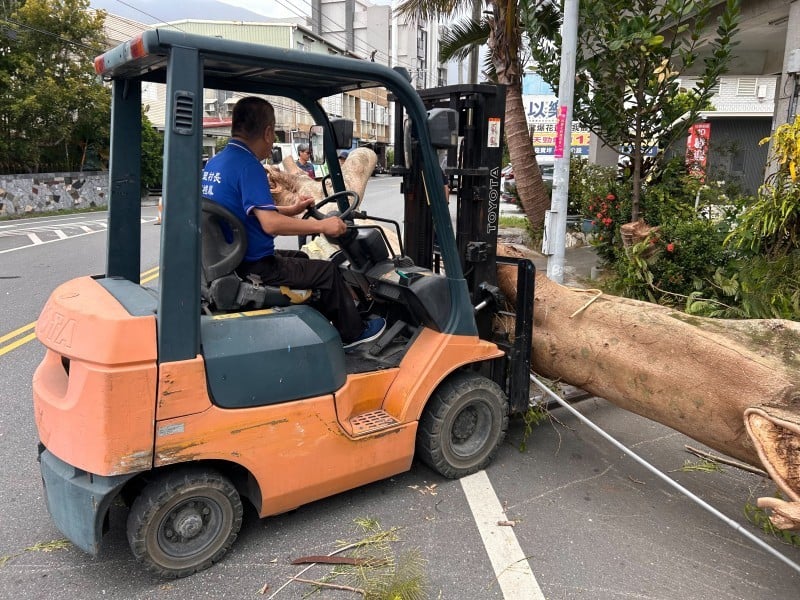 「薔琵」強風將路樹吹倒 壓到路邊汽車