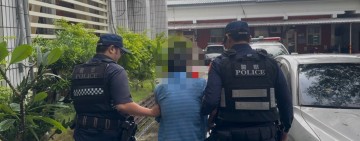 颱風來襲吉安警維護治安不打烊 賊持鐵絲偷娃娃機商品當場遭法辦