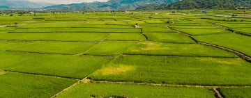 織羅「大腳印餐桌」迎秋收 ! 風土盛宴再掀熱潮