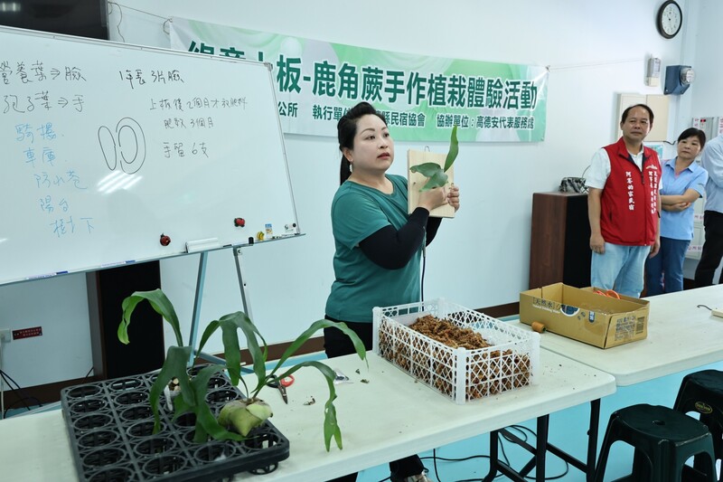 LINE_ALBUM_115.07.19-吉安鄉公所攜花蓮縣民宿協會辦理綠意上板鹿角蕨手作植栽體驗活動_260720_5_fa0e8.jpg