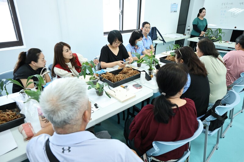 LINE_ALBUM_115.07.19-吉安鄉公所攜花蓮縣民宿協會辦理綠意上板鹿角蕨手作植栽體驗活動_260720_8_ce690.jpg