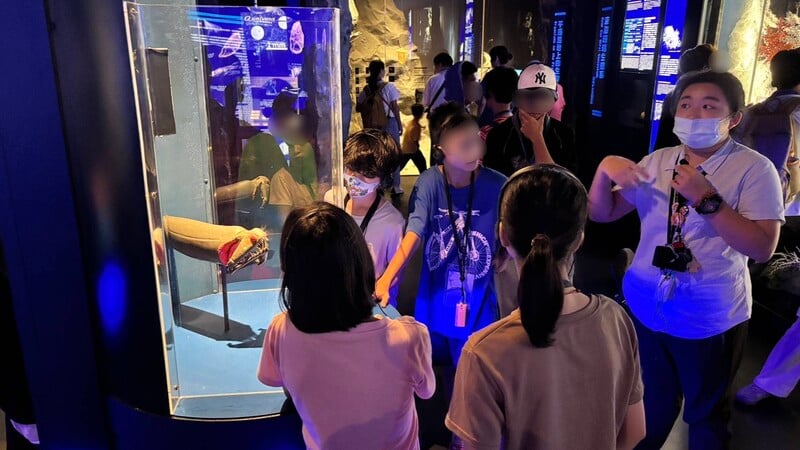 展望會兒少聆聽基隆海科館志工介紹深海魚如何捕食 0 b125ea155ddad6f5
