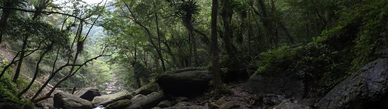 S__7651340_a024e.jpg