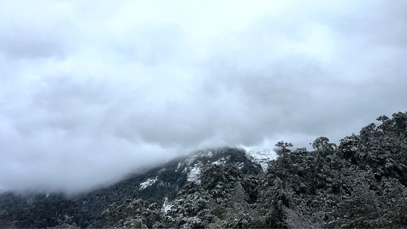 S__7651428_d9985.jpg