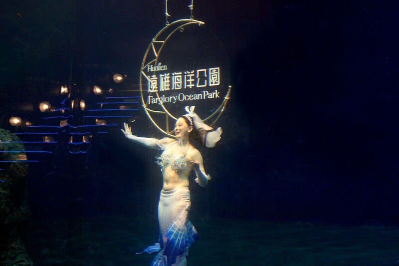 來自台灣的人魚選手_69fc9.jpg