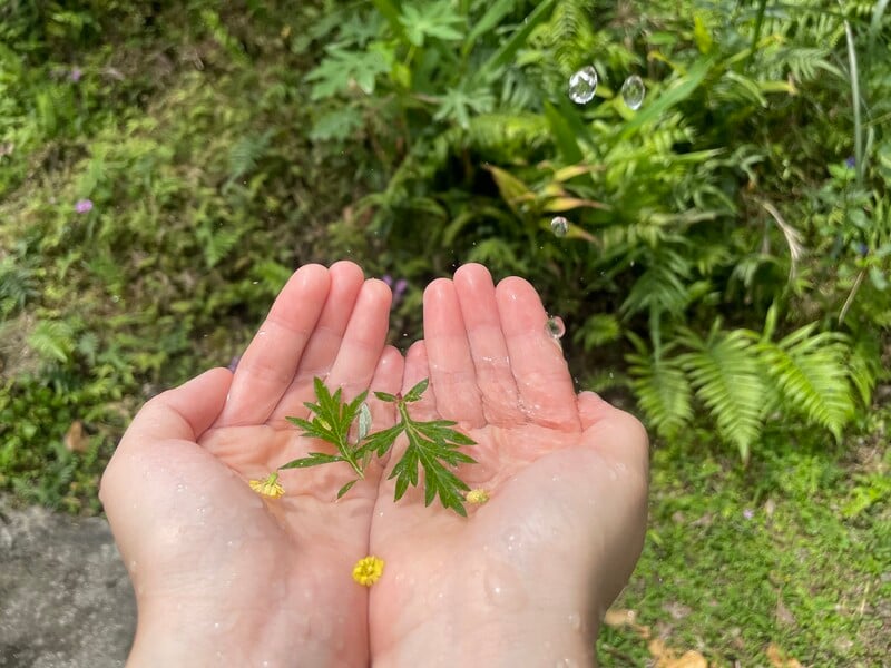 夏日民俗植物手浴體驗_58328.jpg