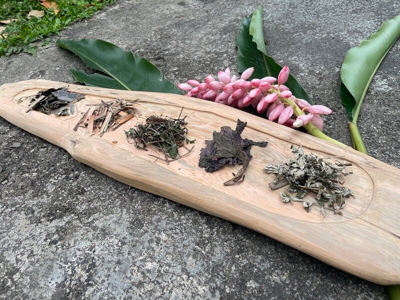 親子一起動手觸摸嗅聞認識各種夏季民俗植物_325fd.jpg