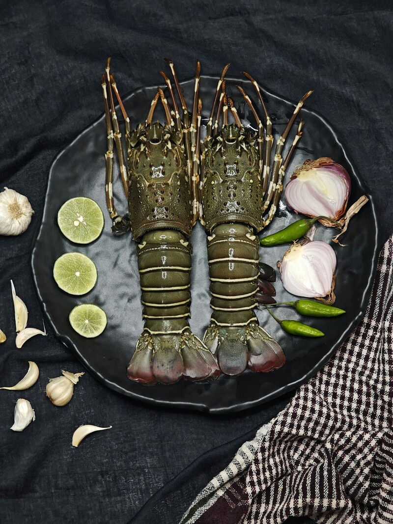 pexels masuma rahaman 437541976 34928348 49cba