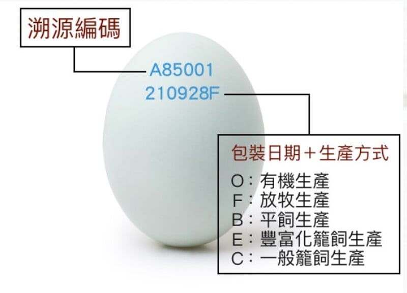 雞蛋圖二 dbbcf