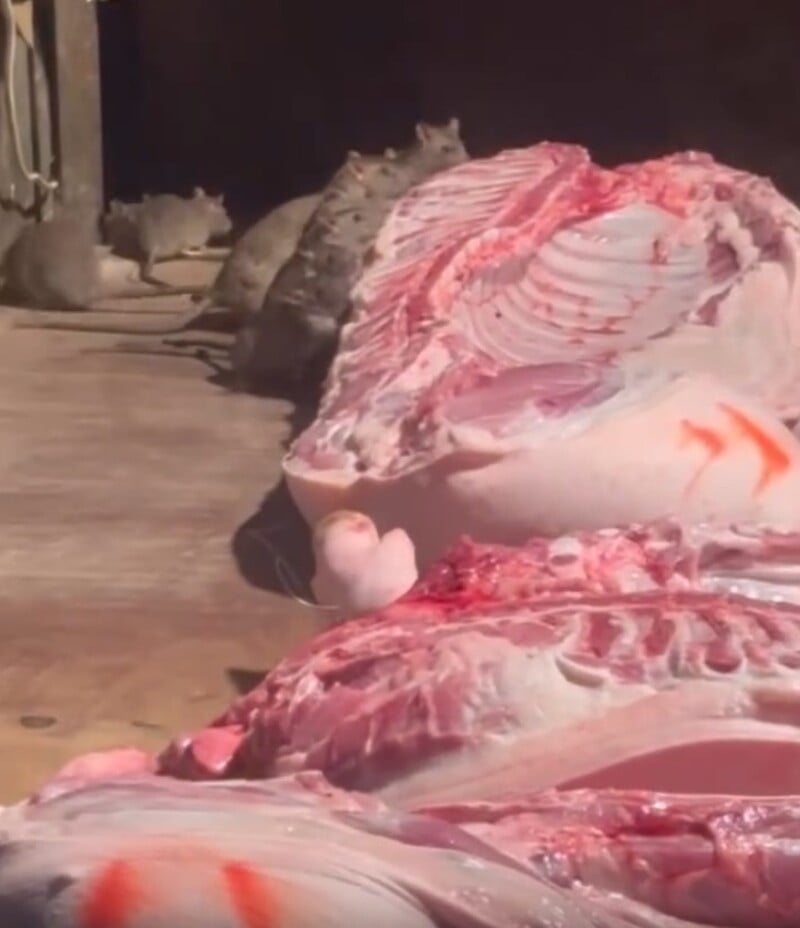 螢幕擷取畫面 2026 02 07 214047 d25ce