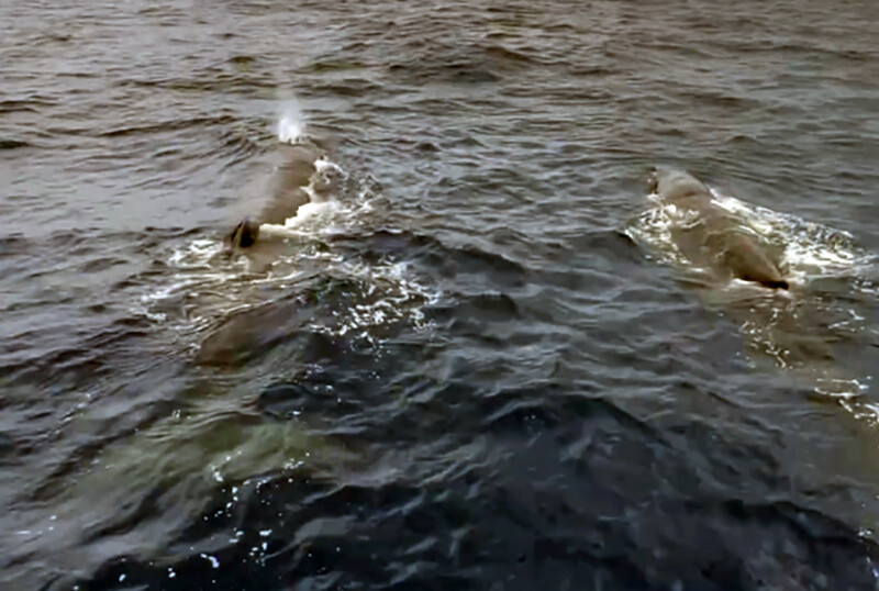 202505291_19fbc.jpg
