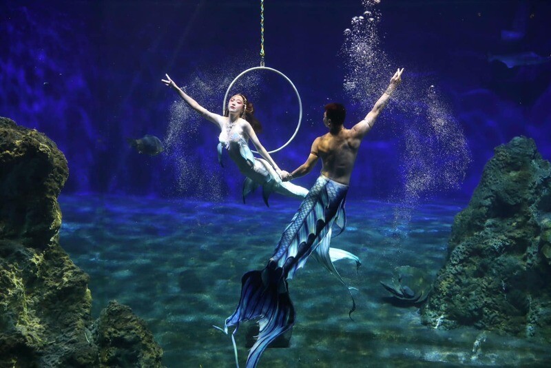 3.福容花蓮店今年夏天到海洋公園找美人魚_海洋公園提供_0_aee25.jpg