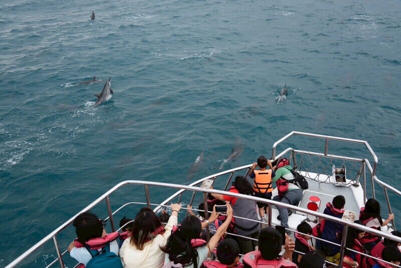 LINE_ALBUM_2025510_公益船班_250510_5_0_60e44.jpg