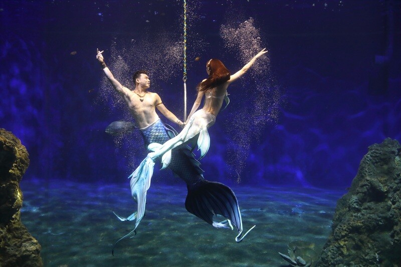 亞洲美人魚選手將齊聚花蓮遠雄海洋公園競藝20250513-1_0_ec3b2.jpg