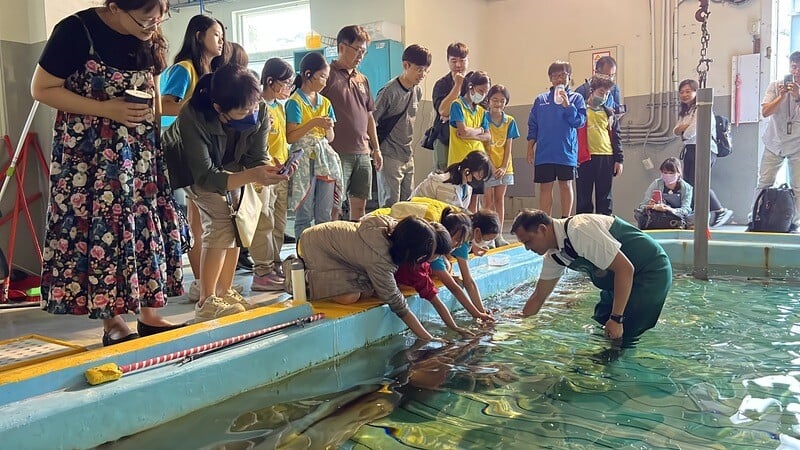 小小水族師體驗課程_0_36547.jpg