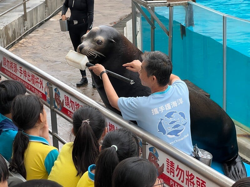 小小訓練師體驗課程_海獅_0_66a99.jpg